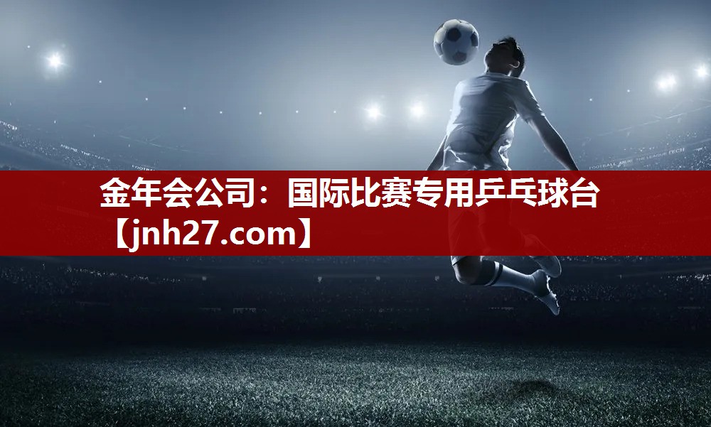 国际比赛专用乒乓球台